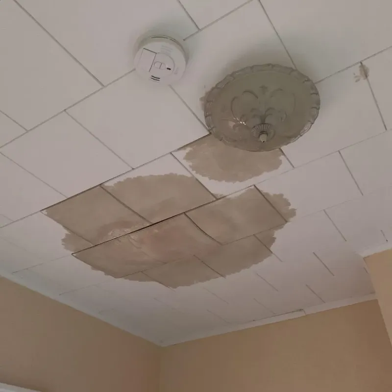 Ceiling Water Damage Repair in South San Jose Hills, CA
