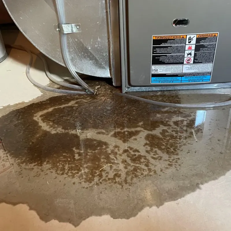 Pipe Burst and Leak Restoration in South San Jose Hills, CA