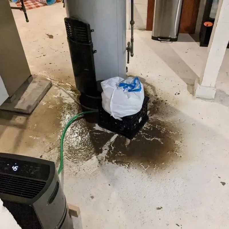 Sewage Backup Cleanup Service in South San Jose Hills, CA